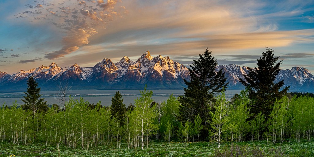 SBA Offers Disaster Loans After Tempe Microburst Storm Damage - Kitchen Table News