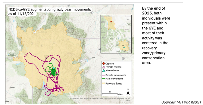Migration Trends: Are Blue State Residents Moving to Republican States? - Kitchen Table News
