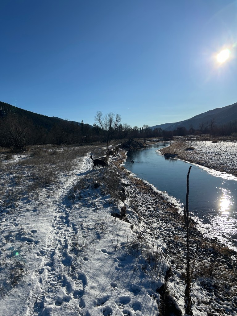 The Clark Fork River